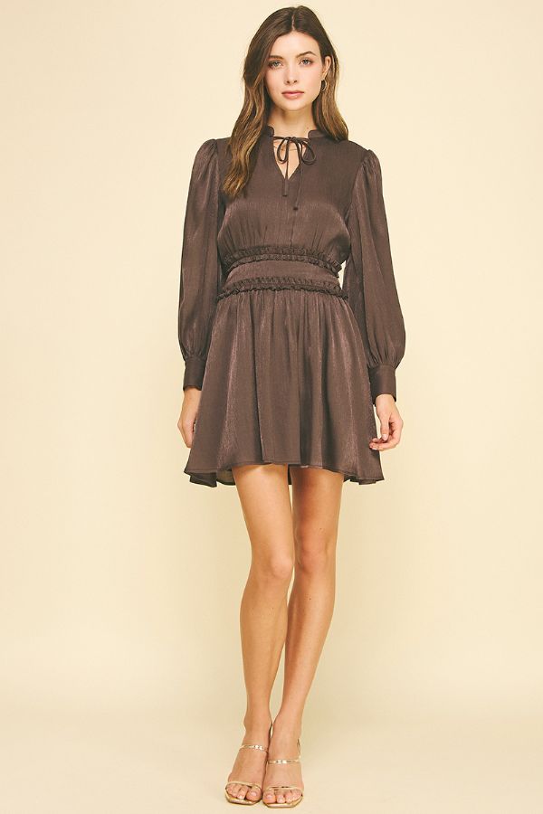 Ruffled Detail Mini Dress
