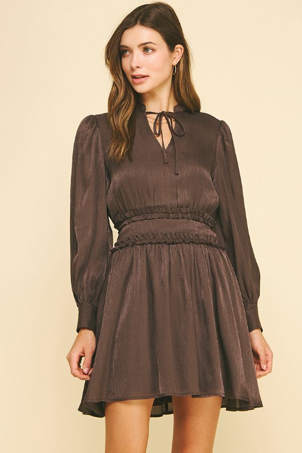 Ruffled Detail Mini Dress