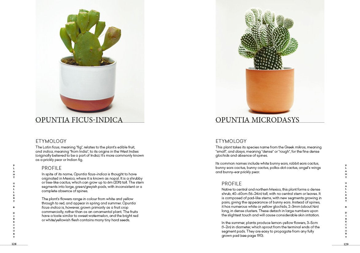 Prick: Cacti and Succulents: Choosing, Styling, Caring