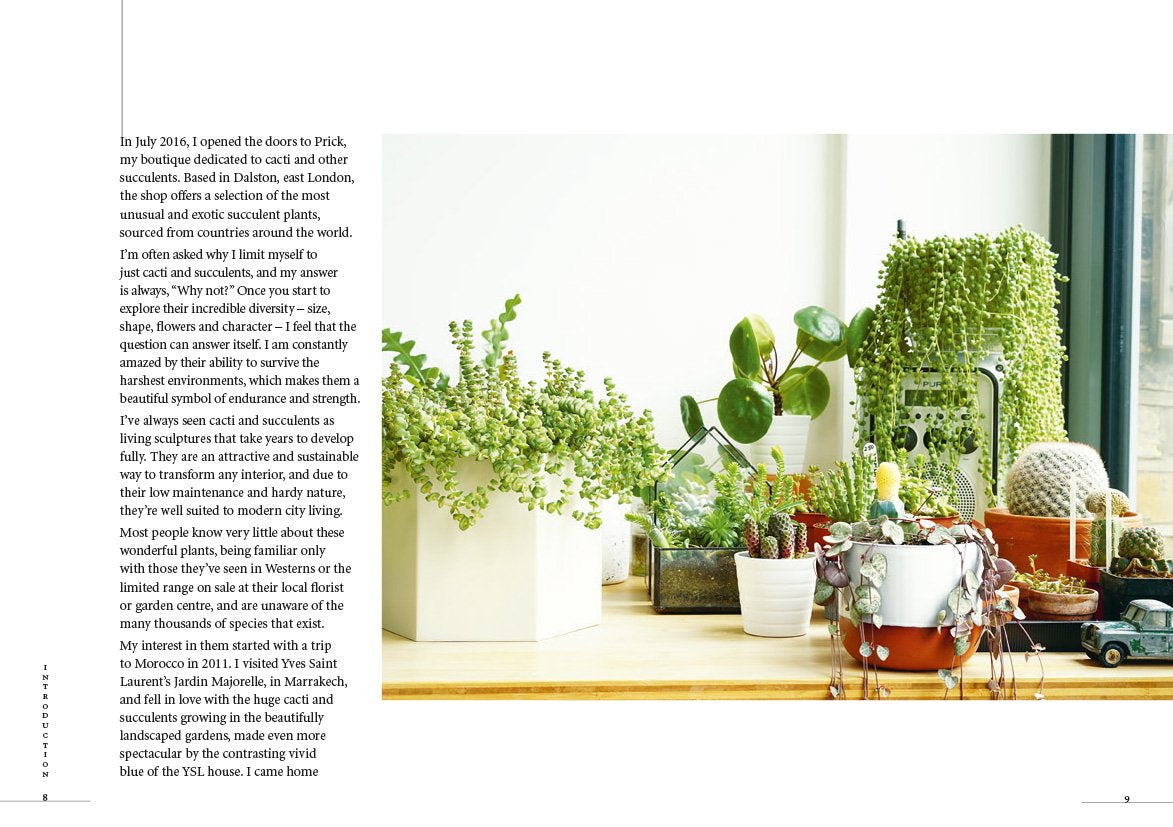 Prick: Cacti and Succulents: Choosing, Styling, Caring